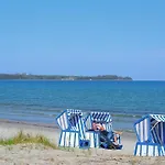 Sanddorn Am Hochzeitsberg Breege