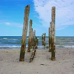 Sanddorn Am Hochzeitsberg * Breege