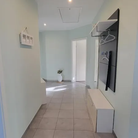 Sanddorn Am Hochzeitsberg