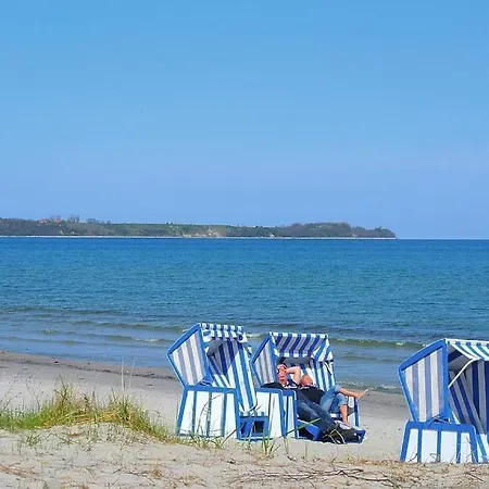 Sanddorn Am Hochzeitsberg - Urlaubstraum Fuer Mensch Und Tier Breege