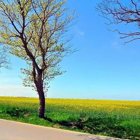 Feriehus Sanddorn Am Hochzeitsberg - Urlaubstraum Fuer Mensch Und Tier Breege