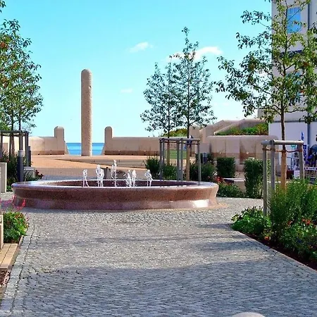 Sanddorn Am Hochzeitsberg *