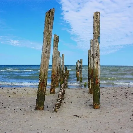 Sanddorn Am Hochzeitsberg - Urlaubstraum Fuer Mensch Und Tier * Breege