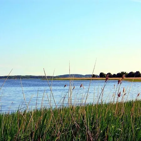 Feriehus Sanddorn Am Hochzeitsberg - Urlaubstraum Fuer Mensch Und Tier