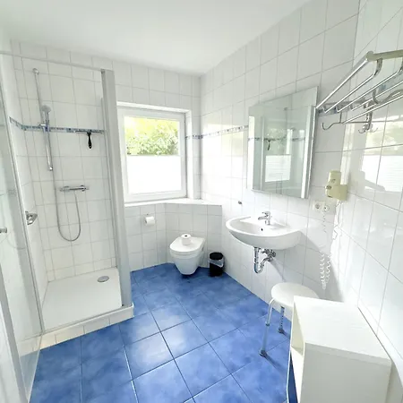 Sanddorn Am Hochzeitsberg