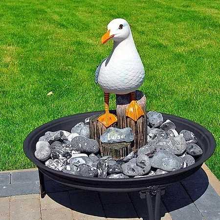 Sanddorn Am Hochzeitsberg - Urlaubstraum Fuer Mensch Und Tier *