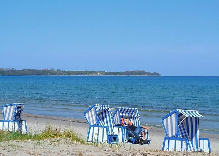Sanddorn Am Hochzeitsberg Breege
