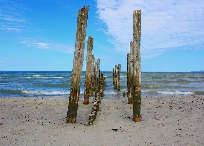 Sanddorn Am Hochzeitsberg * Breege